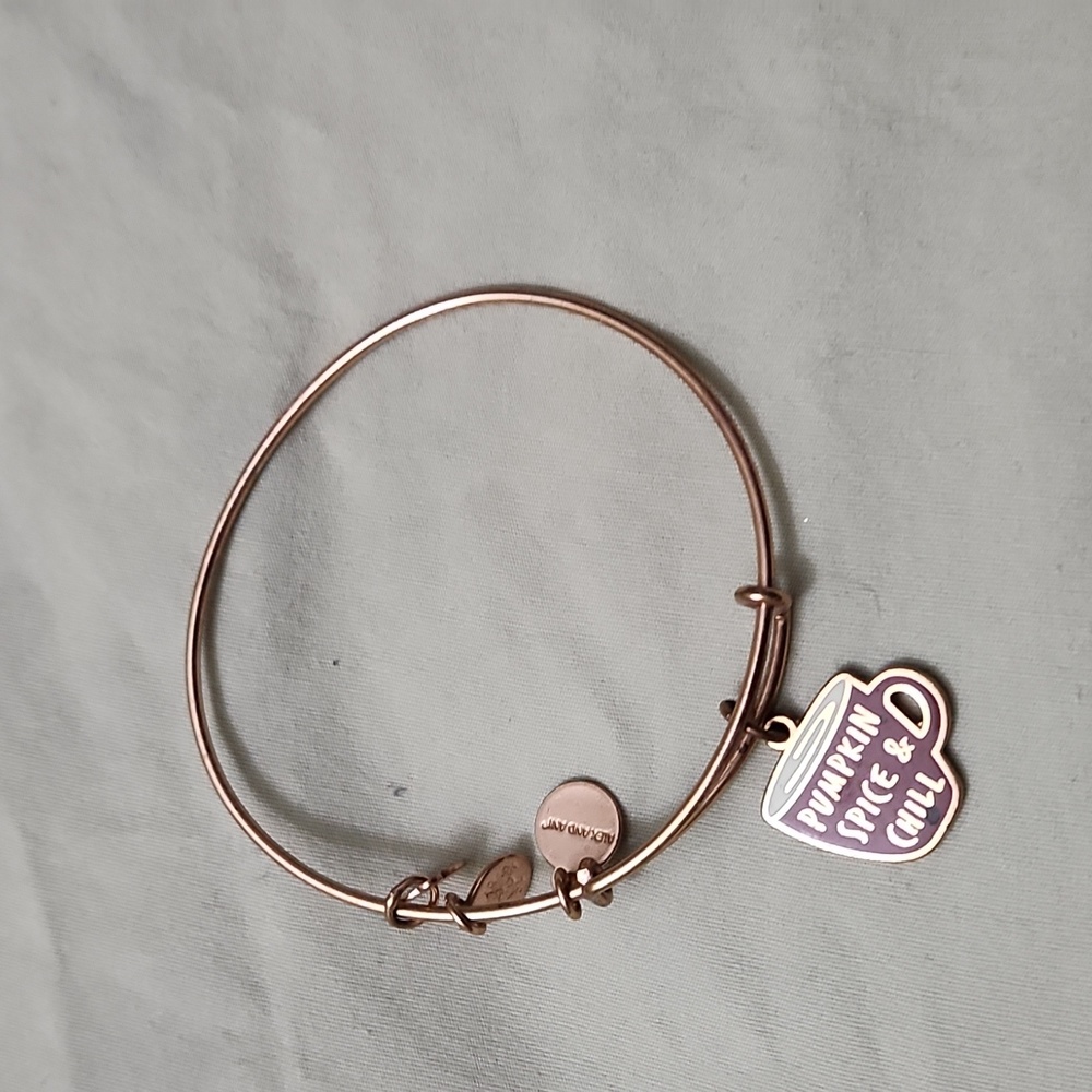 Alex and ani bracelet